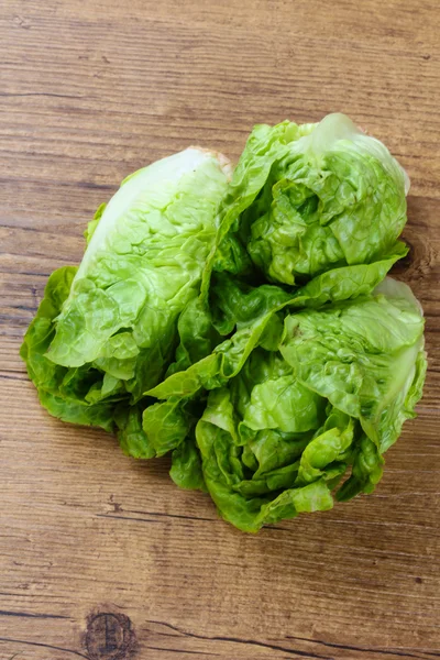 Frischer reifer grüner Salat — Stockfoto