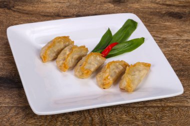 Geleneksel Japon mutfağı Gyoza köfteleri et ve deniz ürünleri.