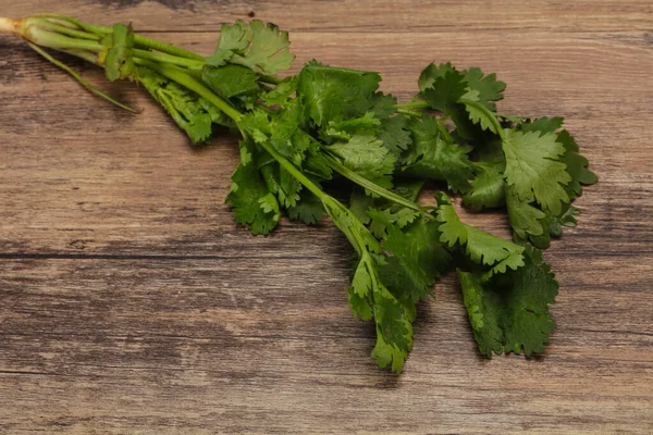 Fresco Maduro Hojas Cilantro Verde Especia — Foto de Stock