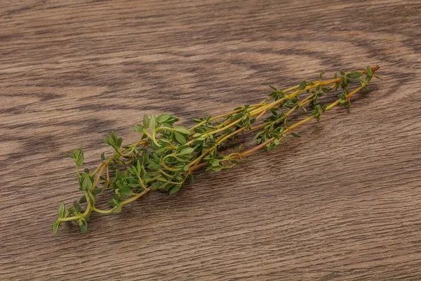 Aroma Food Fresh Green Thyme Branch — Stock Photo, Image