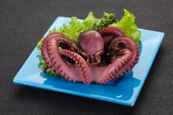 Gekochter Oktopus Mit Kräutern Teller — Stockfoto