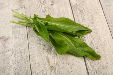 Aroma Taze yeşil kuş sürüsü