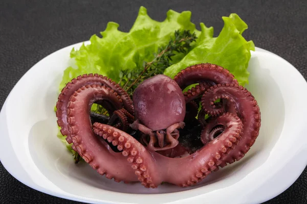 Gekochter Oktopus Mit Kräutern Teller — Stockfoto