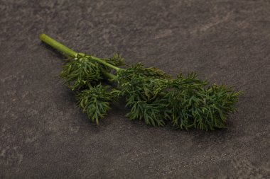 Aroma çeşnisi - Arkaplanda Yeşil Dill dalı