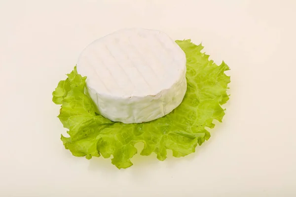 Delicous Tradidional Brie Soft Cheese — Stock Photo, Image