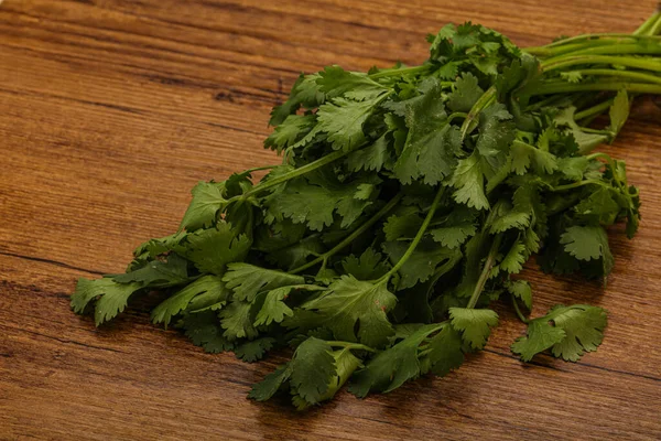 Aroma Cilantro Verde Cilantro Hojas Montón — Foto de Stock