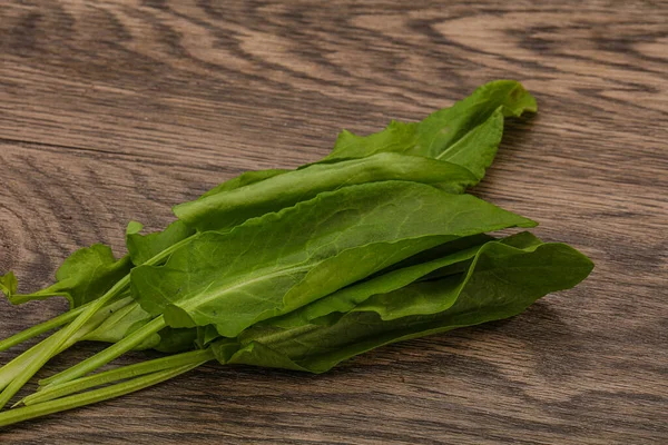 Aroma Frisch Grüner Sauerampfer Kräuterhaufen — Stockfoto