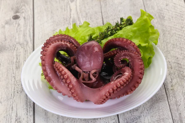 Gekochter Oktopus Mit Kräutern Teller — Stockfoto