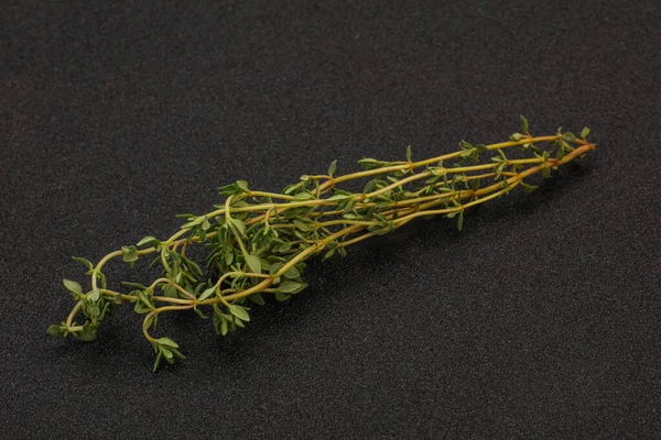 Αρωματικές Τροφές Φρέσκο Πράσινο Κλαδί Θυμαριού — Φωτογραφία Αρχείου