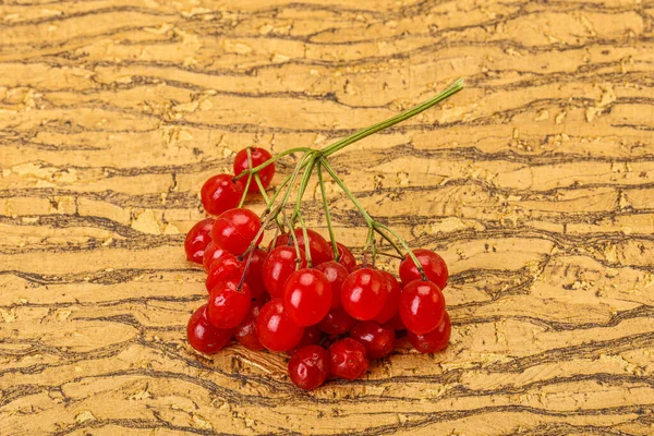 Red Sweet Tasty Juicy Viburnum Berries — Stock Photo, Image