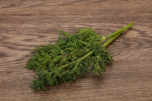 Aromawürze Grüner Dillzweig Über Hintergrund — Stockfoto