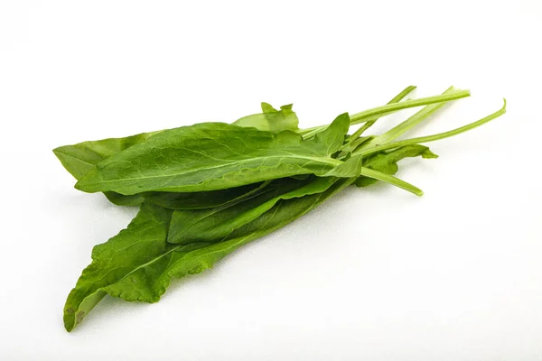 Aroma Fresh Green Sorrel Herb Heap — Stock Photo, Image