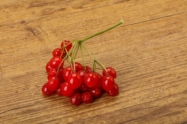 Rød Sød Velsmagende Saftig Viburnum Bær - Stock-foto