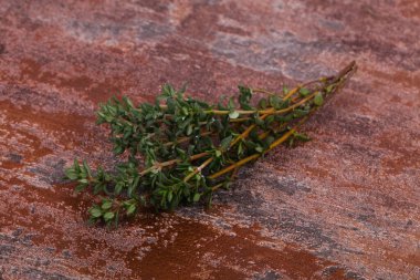 Yeşil kekik dalı - yemek pişirmek için baharat