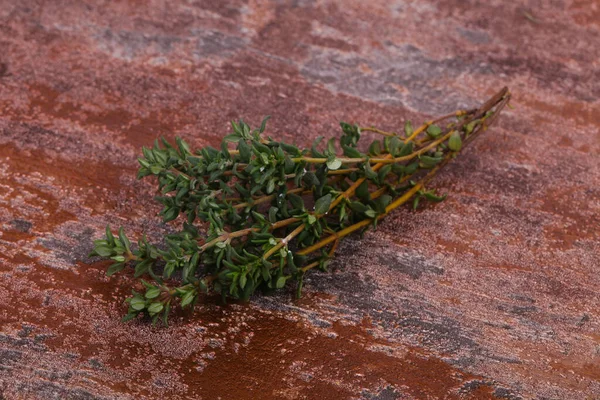 Green Thyme Branch Spice Cooking — Stock Photo, Image