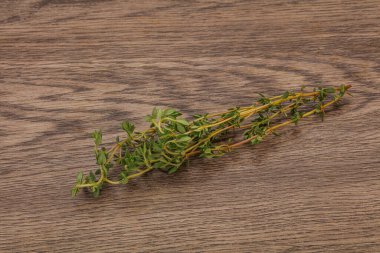 Aroma yiyeceği Taze yeşil kekik dalı