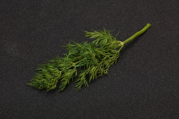 Aroma Smaksättning Green Dill Gren Över Bakgrunden — Stockfoto