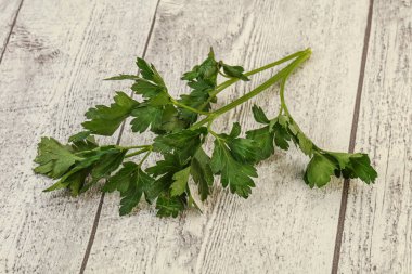 Aroma Green taze maydanoz dalı bitkisi