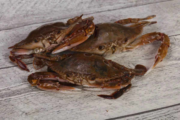 Natural Raw Crab Ready Cooking — Stock Photo, Image