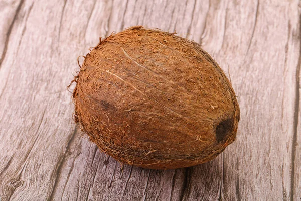 Tropický Hnědý Kokos Pozadí Izolované — Stock fotografie