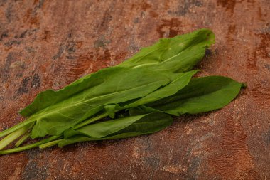 Aroma Taze yeşil kuş sürüsü