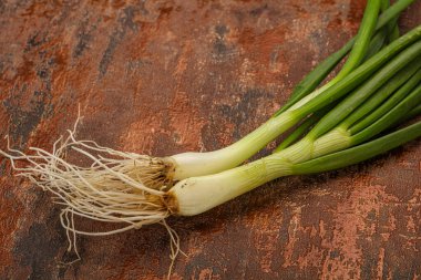 Taze taze taze soğan çeşnisi