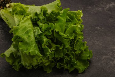 Vejetaryen mutfağı - Yeşil salata yığını yaprakları