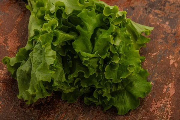 Vegan Cuisine Green Lettuce Salad Heap Leaves — Stock Photo, Image