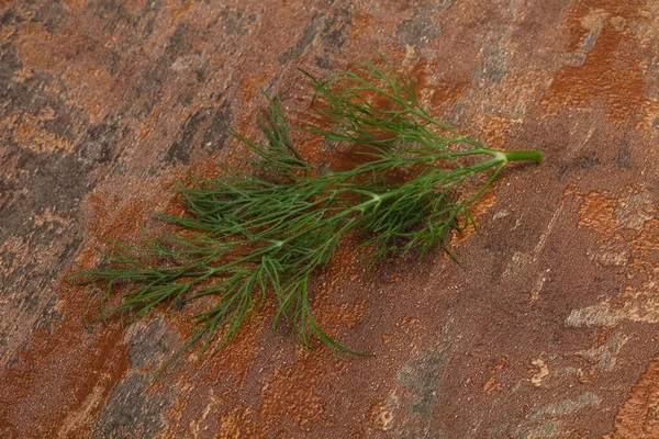 Verse Groene Dille Kruid Tak Klaar Koken — Stockfoto