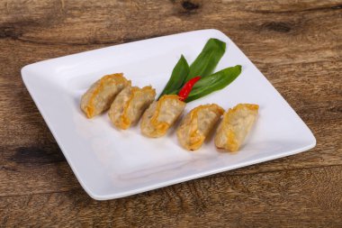 Geleneksel Japon mutfağı Gyoza köfteleri et ve deniz ürünleri.