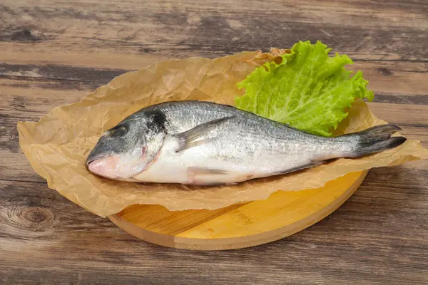 Raw Dorada Fisk Redo För Matlagning — Stockfoto