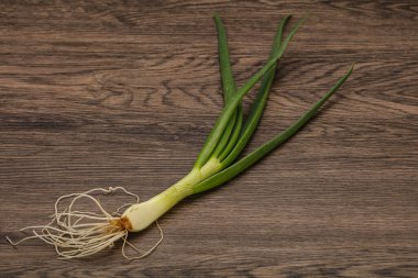 Taze taze taze soğan çeşnisi