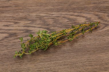 Aroma yiyeceği Taze yeşil kekik dalı