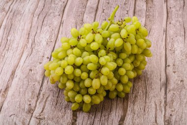 Arka planda tatlı yeşil üzüm dalı