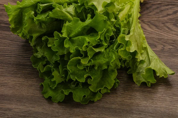 Veganská Kuchyně Listy Salátu Zeleného Salátu — Stock fotografie