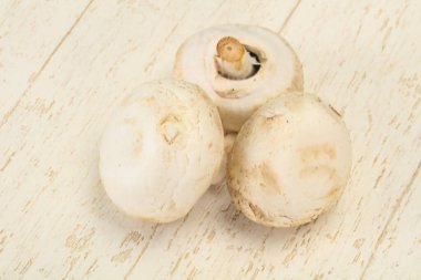Raw Champignon hurdalığı yemek yapmaya hazır.