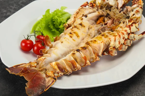 Grilled crayfish in the plate served salad
