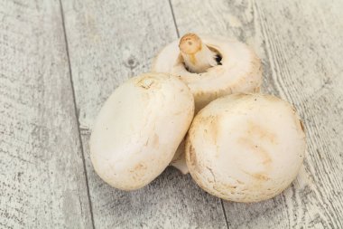Raw Champignon hurdalığı yemek yapmaya hazır.