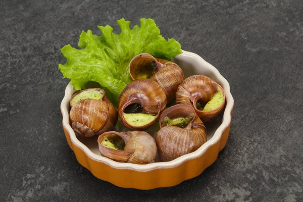 French Cuisine Escargot Butter Sauce — Stock Photo, Image