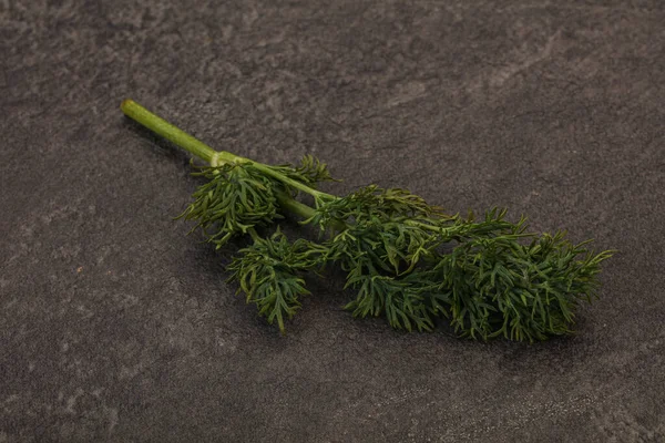 Aroma Seasoning Green Dill Branch Background — Stock Photo, Image