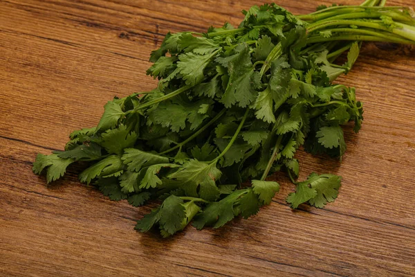 Aroma Green Coriander Cilanto Leaves Heap — Stock Photo, Image