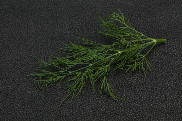 Fresh Green Dill Herb Branch Ready Cooking — Stock Photo, Image