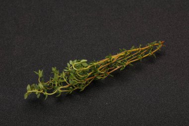 Aroma yiyeceği Taze yeşil kekik dalı