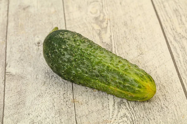 Verde Maduro Fresco Pepino Sobre Fundo — Fotografia de Stock