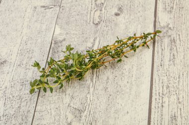 Aroma yiyeceği Taze yeşil kekik dalı