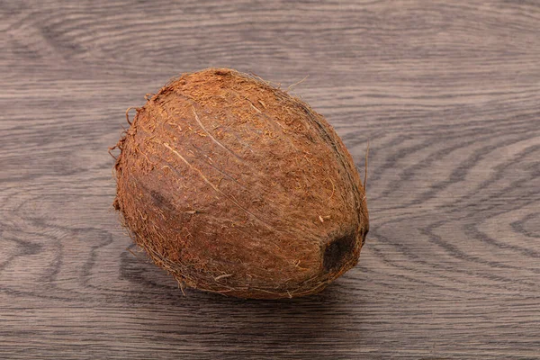 Tropical Brown Coconut Background Isolated — Stock Photo, Image