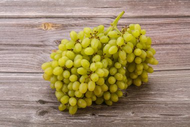 Arka planda tatlı yeşil üzüm dalı