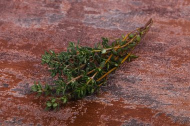Yeşil kekik dalı - yemek pişirmek için baharat