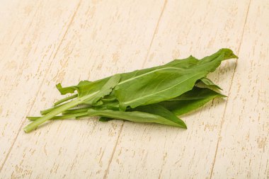 Aroma Taze yeşil kuş sürüsü