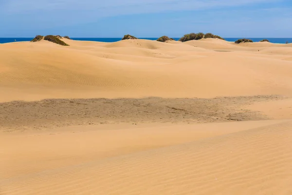 マスパロマス ドゥナ カナリア島の砂漠 グラン カナリア — ストック写真